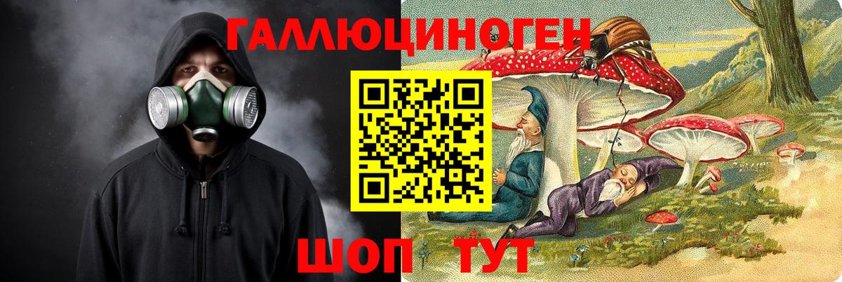 Кыштым  Псилоцибиновые грибы Psilocybe  Вход с VPN 